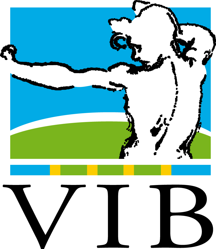 vib logo large